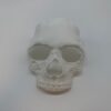 Premium Skull Mask - Realistic and Detailed CoD MWII - Premium Quality
